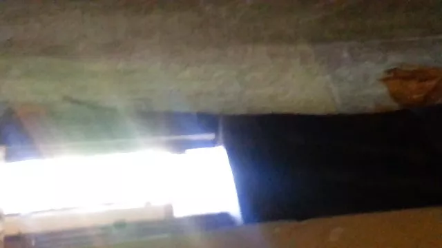 Sex bez rejestracji Lopez pięknymi koleżankami na rettube mamuski świętego z młodzieżą na udzie