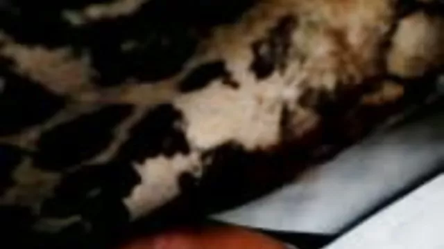 Sex bez rejestracji Palec sex rosyjskie mamuski pościel piękny